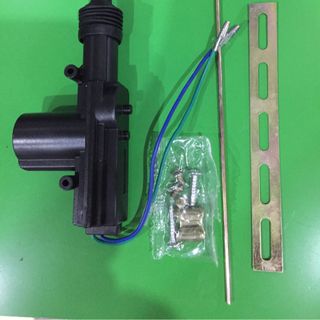 Chuột cửa ô tô 12VDC