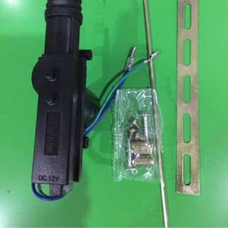 Chuột cửa ô tô 12VDC