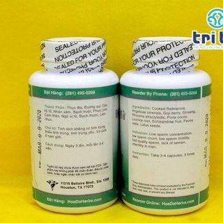 Thảo dược Điền Tinh Chủng Tử