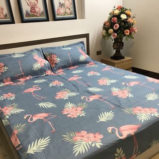 bộ 3 món điều hoà