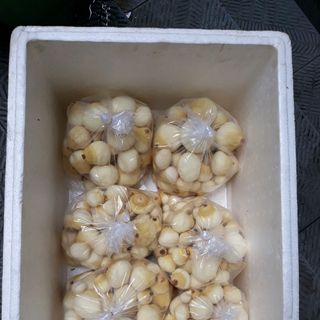 mộng dừa tươi đặc sản ăn vặt