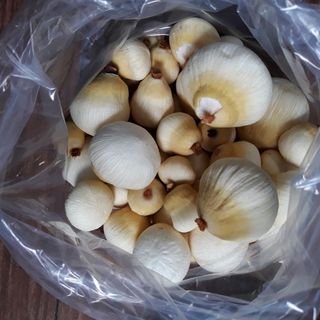 mộng dừa tươi đặc sản ăn vặt