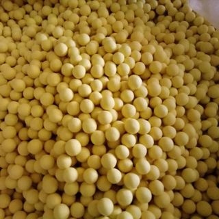 viên nghệ mật ong tinh bột nghệ vàng nghệ an