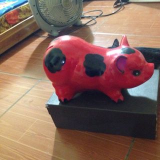 heo sữa mẹ con
