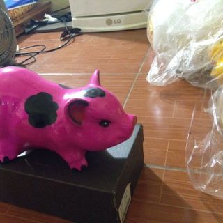 heo sữa mẹ con