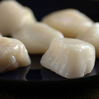 Cồi Sò Điệp
