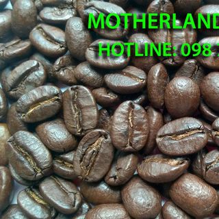 Cà phê Arabica chế biến ướt