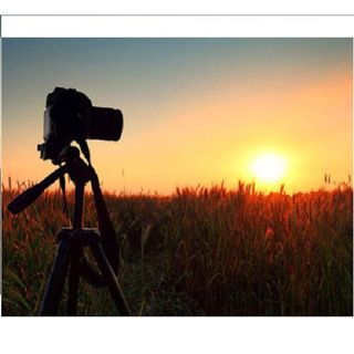 Gậy chụp hình Tripod 3120
