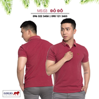 Áo thun nam - áo thun cổ bẻ golio - áo đồng phục cotton 100 - xưởng bán lẻ lớn nhất SG