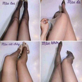 QUẦ TẤT DAI - TRONG - THẬT CHÂN