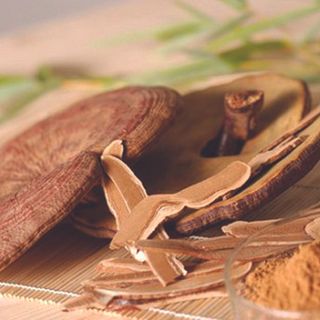 Nấm Linh Chi BÌNH NGỌC Loại nhất