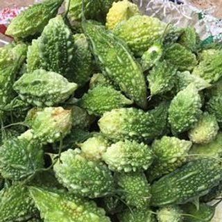 Bán sỉ quả Mướp đắng khổ qua rừng
