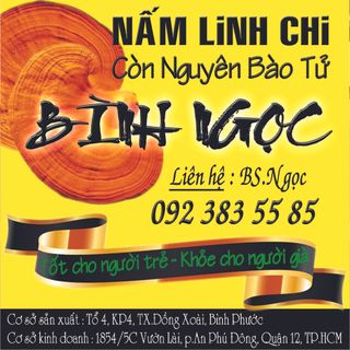 Nấm Linh Chi BÌNH NGỌC Loại nhất
