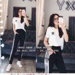 set bộ