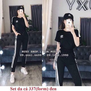 set bộ
