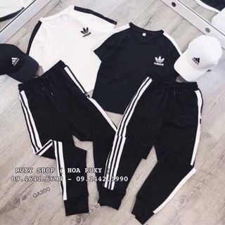 set bộ