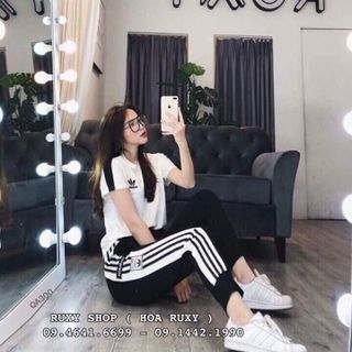 set bộ