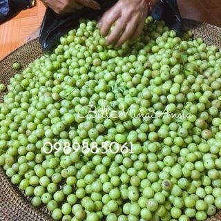 Quả me rừng