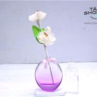 Hoa tinh dầu tự khuếch tán lọ màu trong suốt
