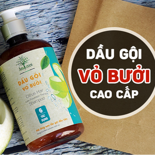 Dầu Gội Đặc Trị Rụng Tóc Vỏ Bưởi Amegreen 600ml