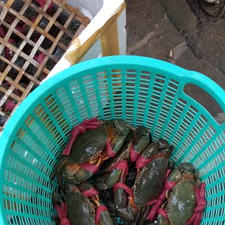 Cua Cà Mau