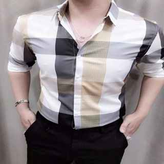 Sơ mi sọc caro
