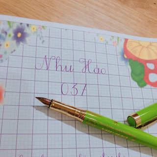 Bút luyện chữ đẹp Như Hảo 037