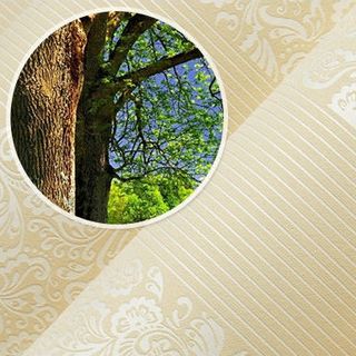 giấy dán tường vải không dệt