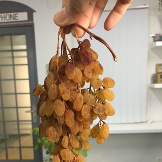 Nho Khô Nguyên Cành Úc Thomson Sultana