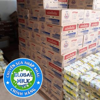 Thùng Sữa Gấu Thái Lan Trắng 0 Fat - Ăn kiêng Giảm Cân
