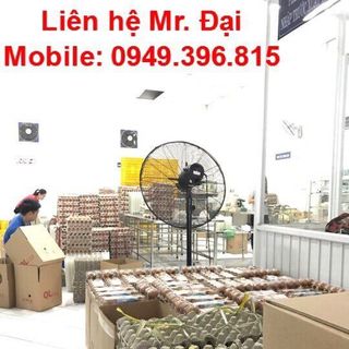 Trứng gà sạch