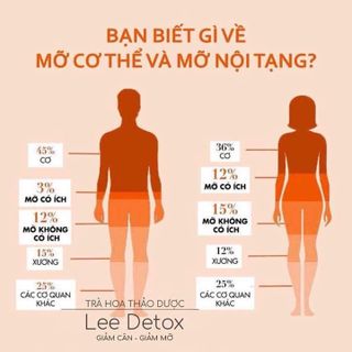 Trà Giảm Cân Lee Detox