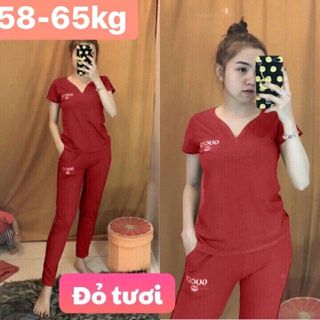 Bộ cotton 3