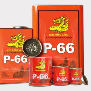 Keo Rồng Vàng P66 Tuýp 25G