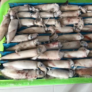 hai san mui ne