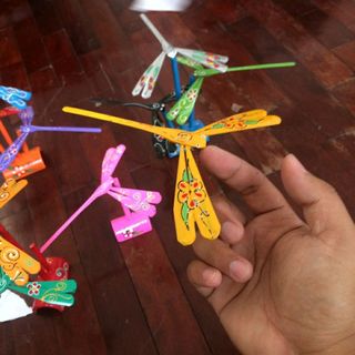 Chuồn Chuồn Tre Thăng Bằng