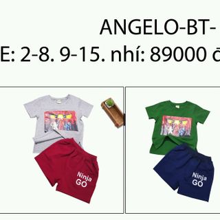 chuyên sỉ và lẻ quần áo thời trang trẻ em baby AngelokidzBeekidz