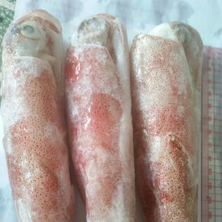Mực ống Bình Thuận