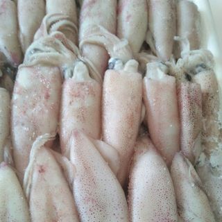 Mực ống Bình Thuận