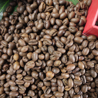 Cà phê hạt nguyên chất Culi Robusta