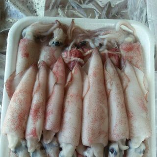 Mực ống Bình Thuận
