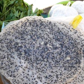 Rau rừng bánh tráng phơi sương muối các loại