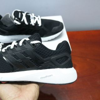 Giày thể thao nam