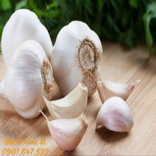 Tỏi chùm phan rang - đặc sản phan rang giá sỉ​ giá bán buôn