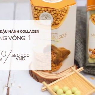 kẹo mầm đậu nành collagen tăng vòng 1 giá sỉ