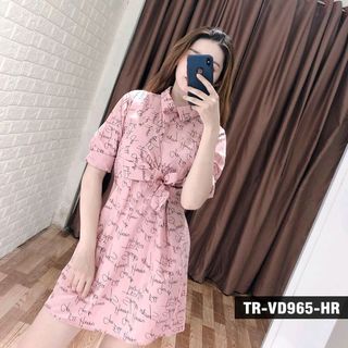 Đầm Sơ Mi Chữ 965