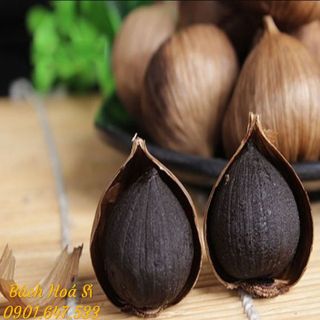Tỏi cô đơn - Đặc sản phan rang giá sỉ giá bán buôn