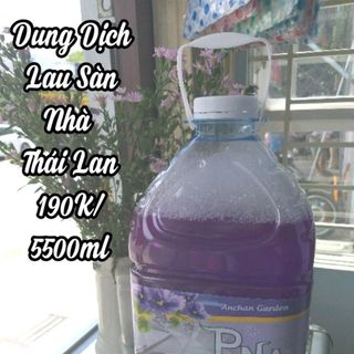 Nước Lau Thái Lan PNA