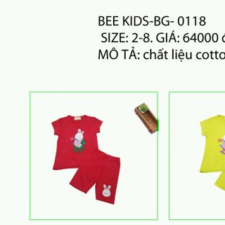 chuyên sỉ và lẻ quần áo baby trẻ em Angelokidz và Beekidz