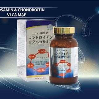 GLUCOSAMIN CHONDROITIN VI CÁ MẬP